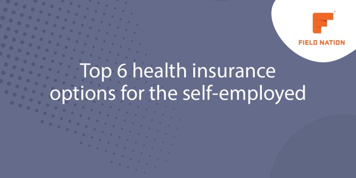 Humana self employed health insurance