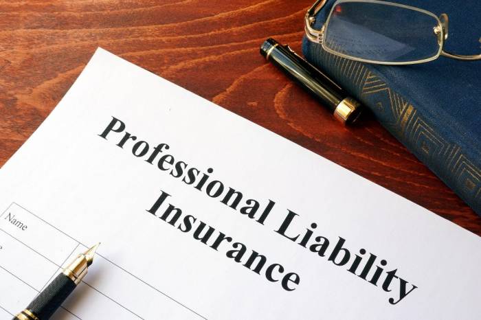 Insurance liability businesses why need small hippo za business