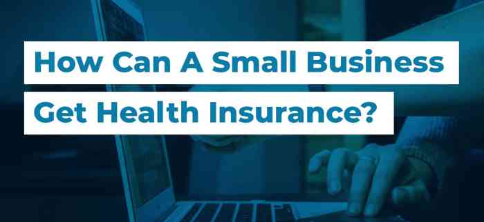 Idaho small business health insurance