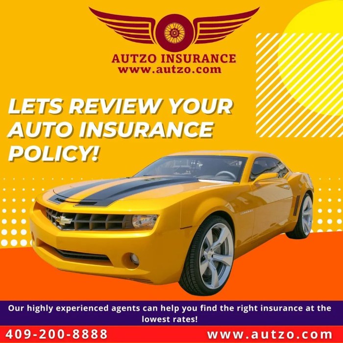 Insurance in san juan tx