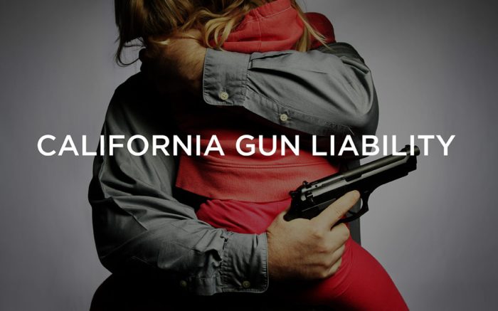 Carry gun concealed permit public carrying