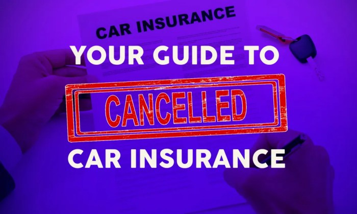 Insurance car cancel request call back