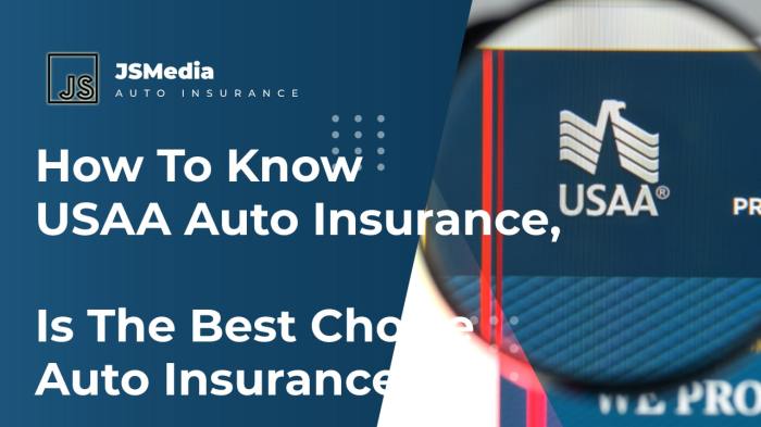 Usaa llc insurance