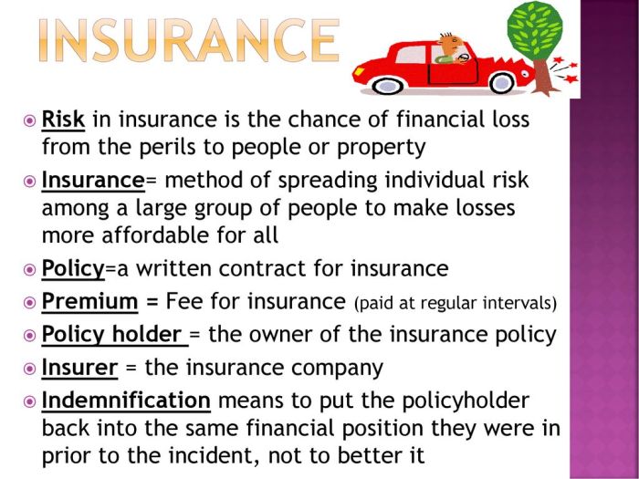 Is proliability good insurance