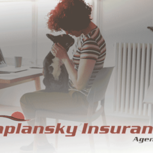 Kaplansky insurance needham