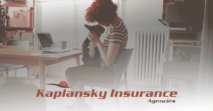 Kaplansky insurance needham