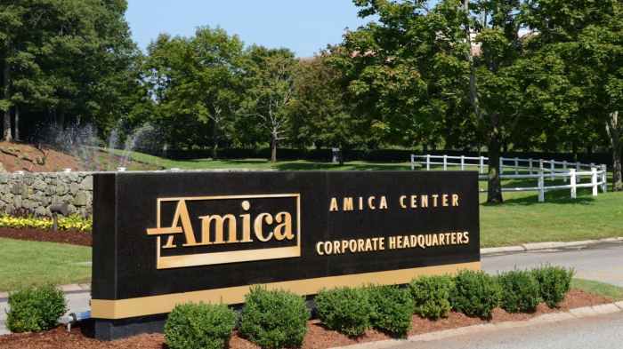 Amica whole life insurance reviews