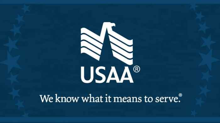 Usaa bundle insurance