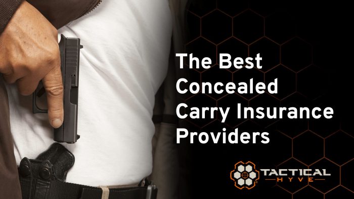 Best concealed carry insurance illinois