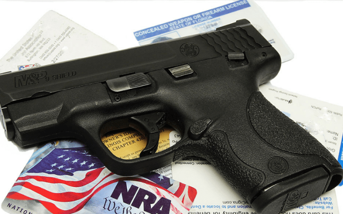 Who has the best concealed carry insurance