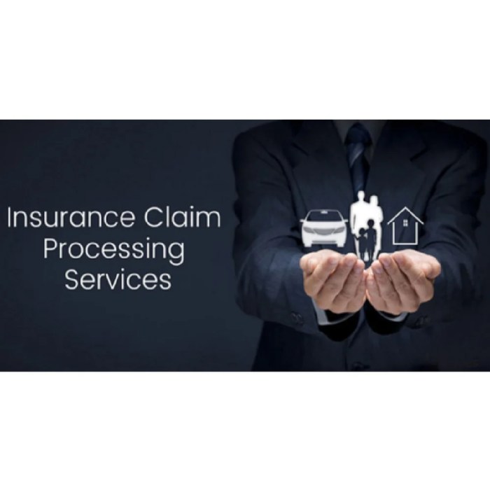 Insurance claim check customer service number