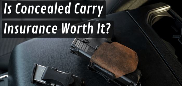 Who has the best concealed carry insurance