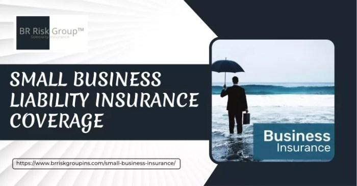 Comprehensive general liability insurance for small business