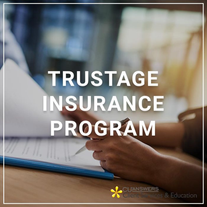 Trustage auto insurance personal invitation number