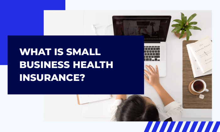 Idaho small business health insurance